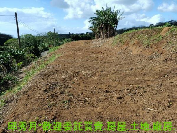 新北淡水農地-5