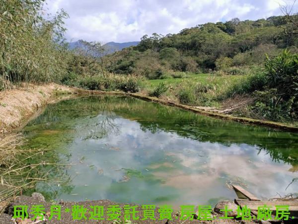 新北淡水農地-6