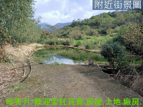 新北淡水農地-7
