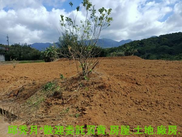 新北淡水農地-8