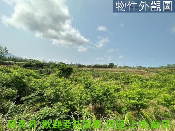 新北淡水農地-1