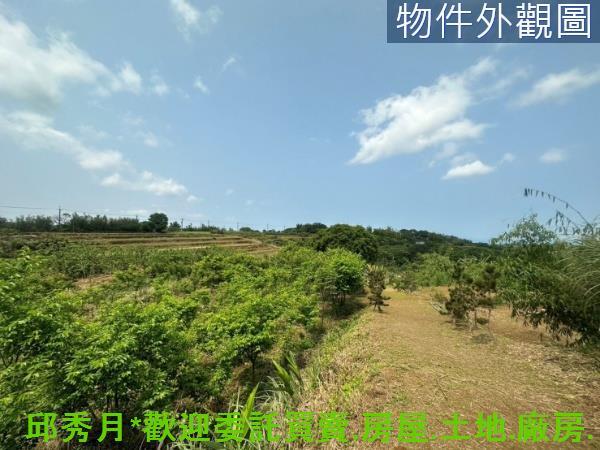新北淡水農地-2