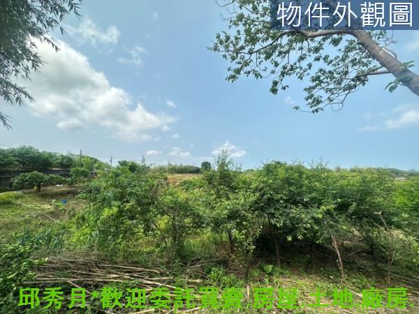 新北淡水農地-8