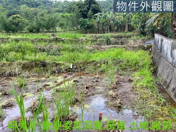 新北三芝農地-0