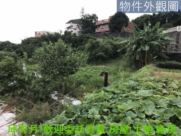 新北淡水農地-9