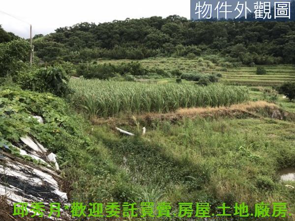 新北淡水農地-10