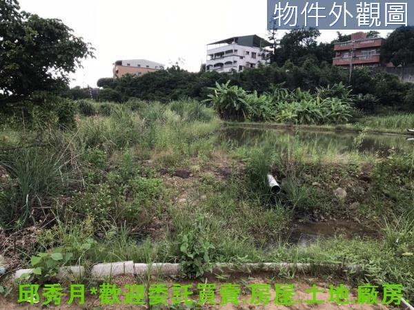 新北淡水農地-1
