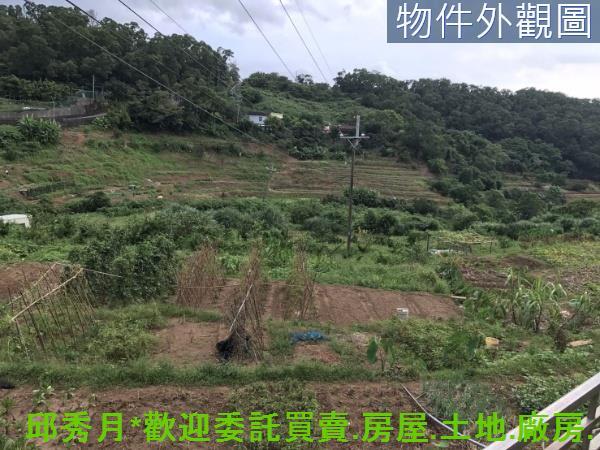 新北淡水農地-2