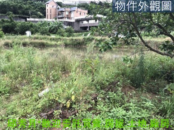 新北淡水農地-4