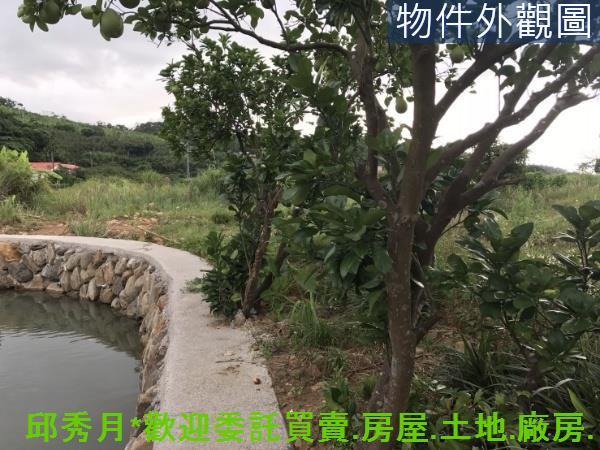 新北淡水農地-5