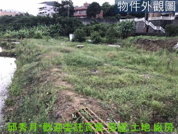 新北淡水農地-7
