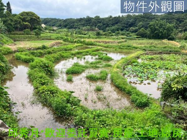 新北三芝農地-2