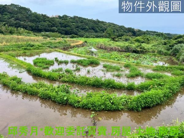 新北三芝農地-4