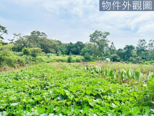 新北淡水農地-9