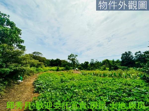 新北淡水農地-1