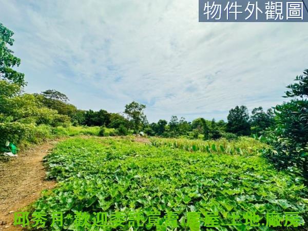 新北淡水農地-2