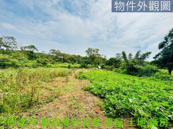 新北淡水農地-3
