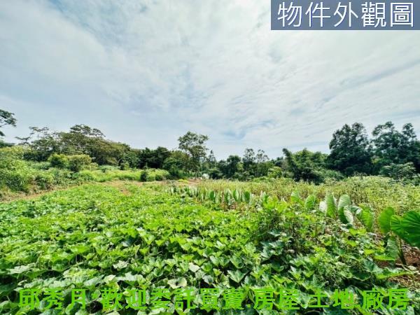 新北淡水農地-7