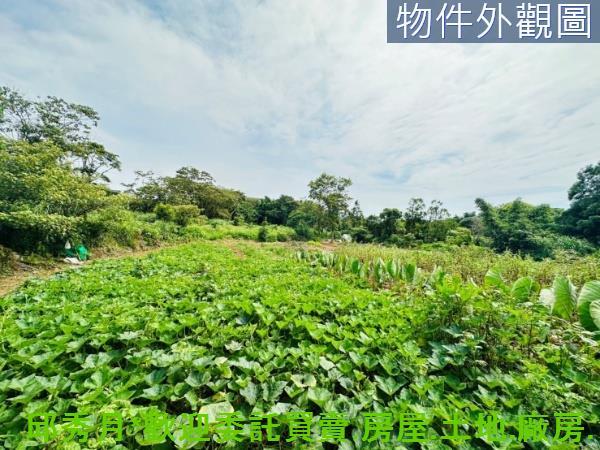 新北淡水農地-8