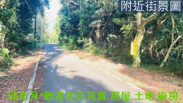 新北農地-1