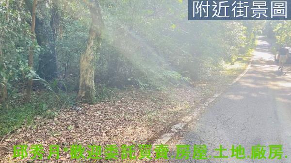 新北農地-2