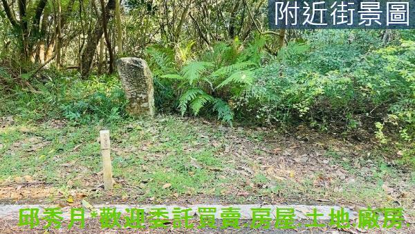 新北農地-3