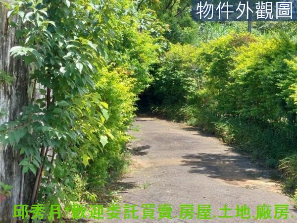 新北農地-3