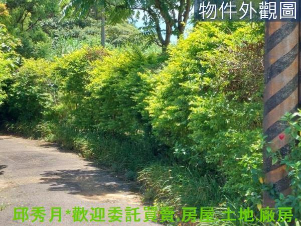 新北農地-4