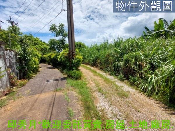 新北農地-5
