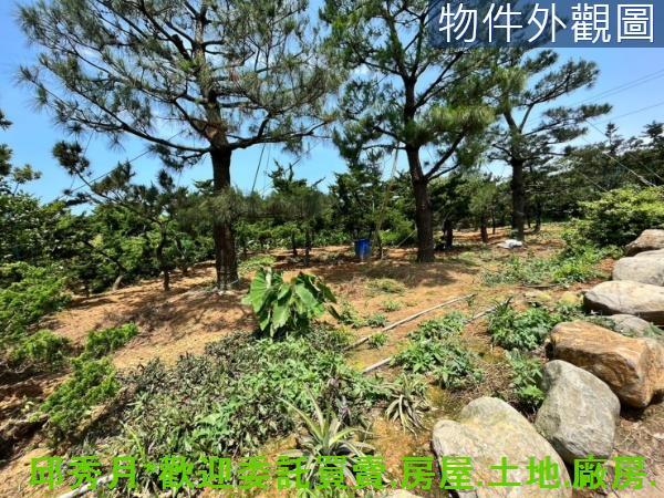 新北石門都市計畫內-9