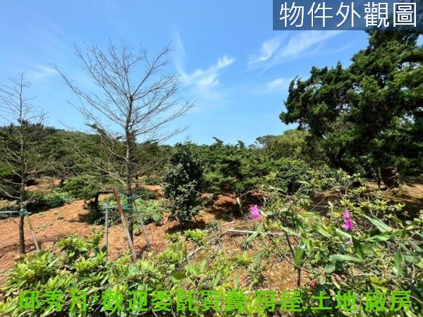新北石門都市計畫內-13