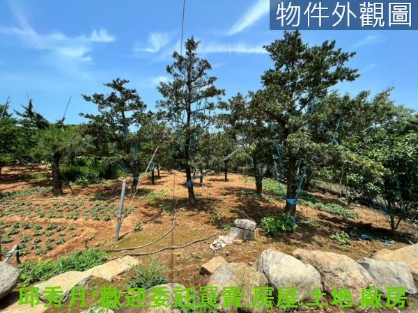 新北石門都市計畫內-2