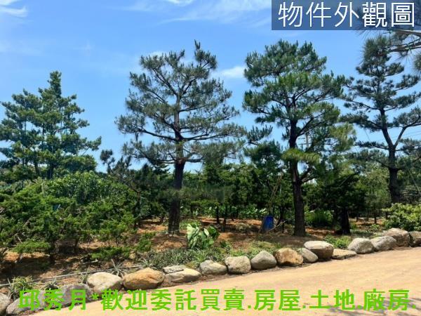 新北石門都市計畫內-4