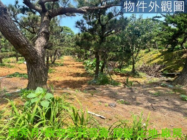 新北石門都市計畫內-6