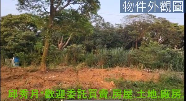 新北三芝農地-8