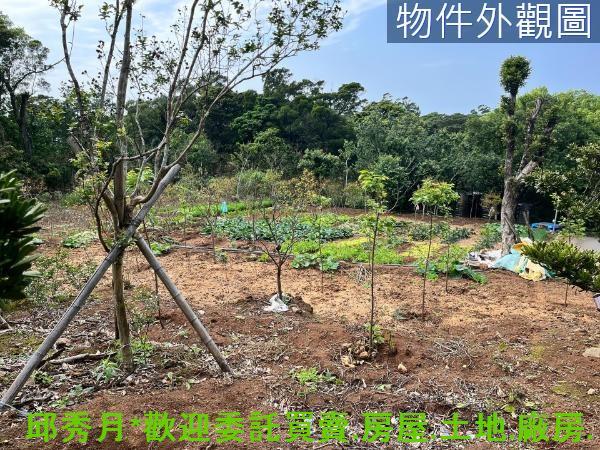 新北淡水農地-2