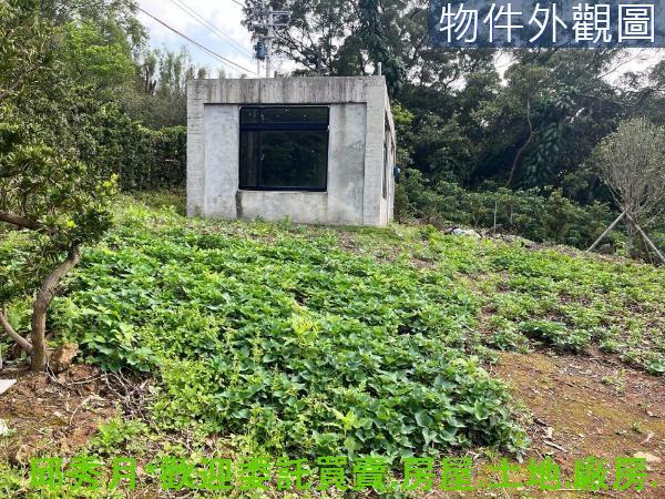 新北淡水農地-3