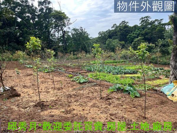 新北淡水農地-4