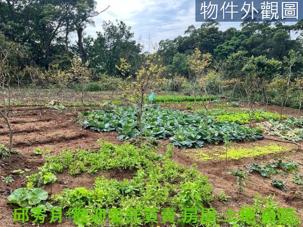 新北淡水農地-5