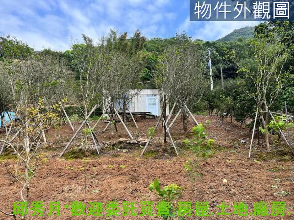 新北淡水農地-6