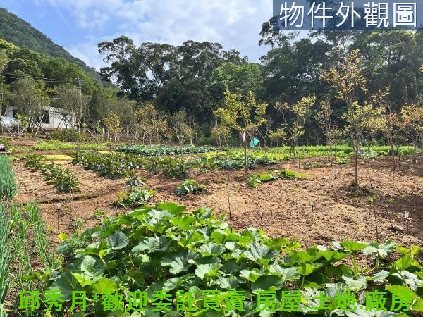 新北淡水農地-7