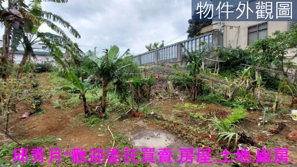 淡水農地-1