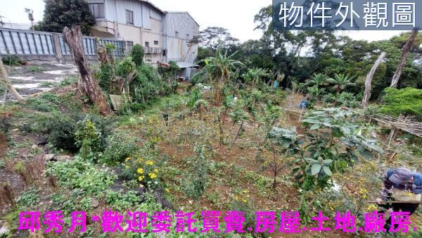 淡水農地-2