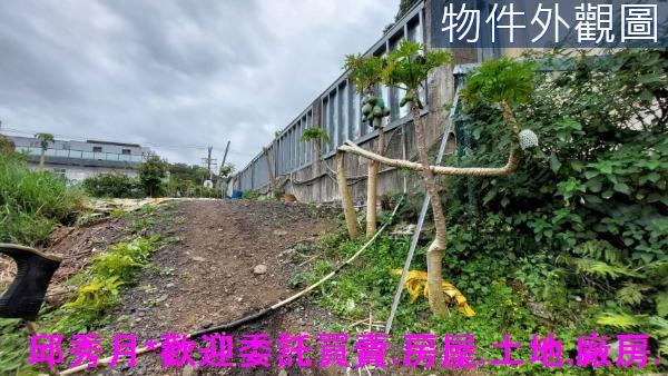 淡水農地-3