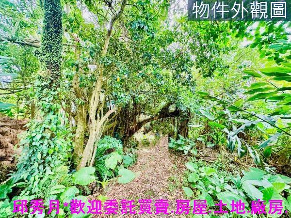 新北三芝特定農業區-5