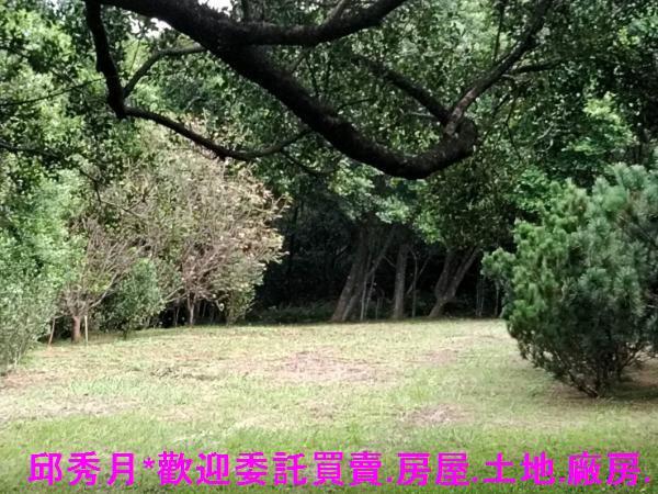 三芝農地-1