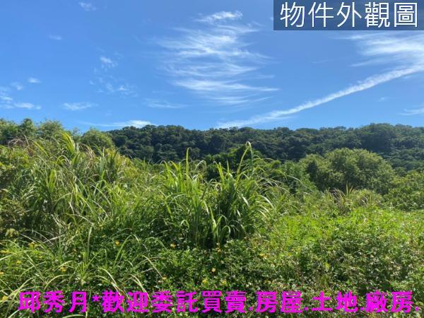 石門農地-4