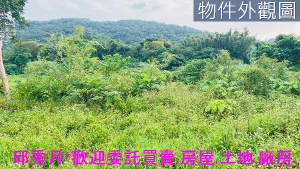淡水農地-2