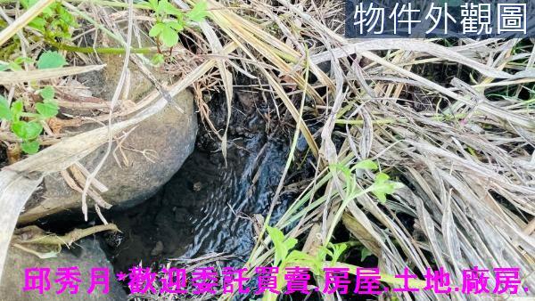 淡水農地-4