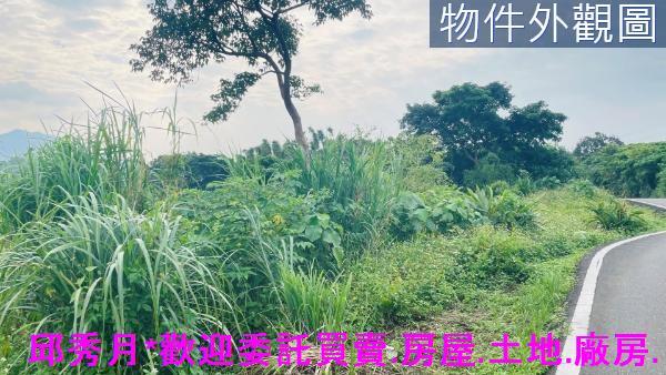淡水農地-5
